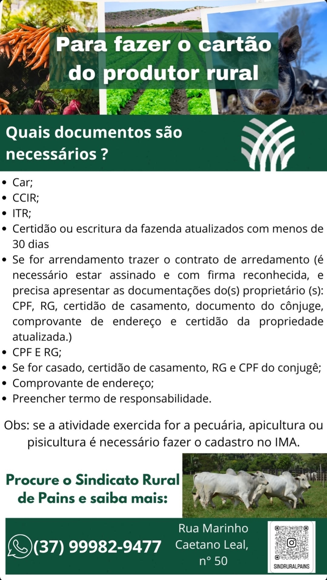 Como fazer o cartão do produtor rural: Confira as orientações do Sindicato Rural de Pains